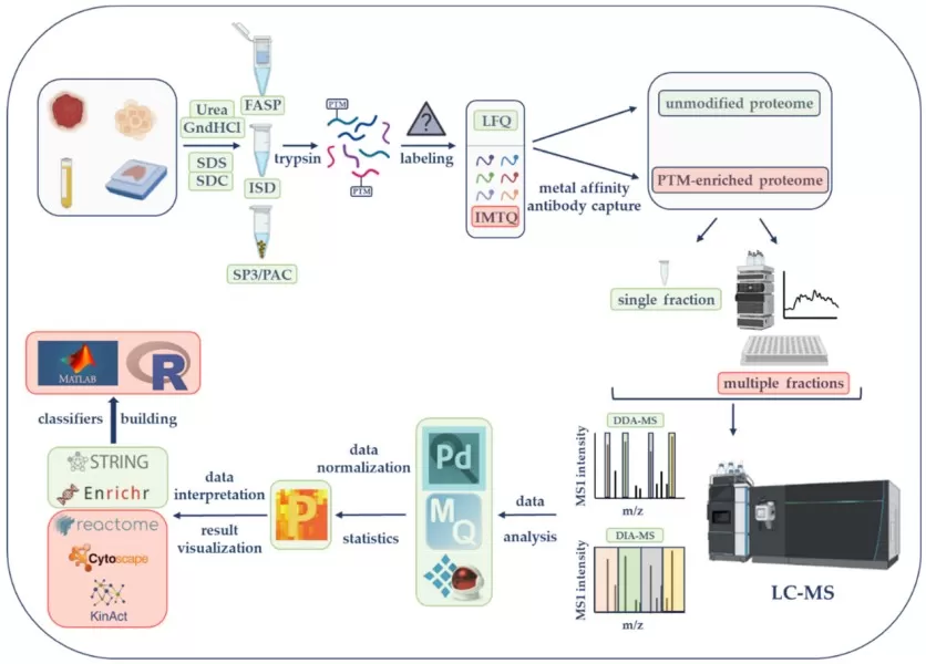General Workflow of a Quantitative Proteomics Experiment. General Workflow of a Quantitative Proteomics Experiment.